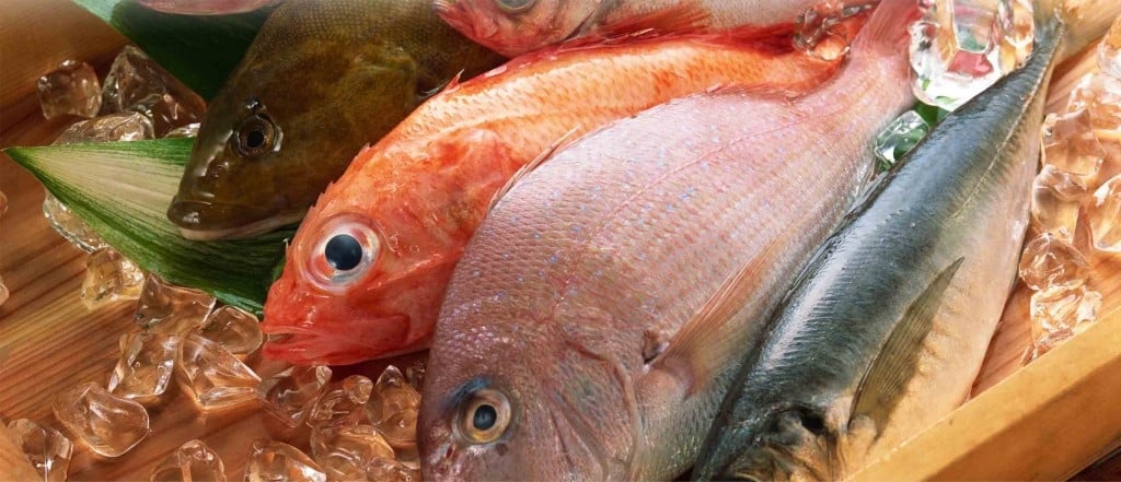 В сентябре проект техрегламента на рыбную продукцию может быть принят Коллегией ЕЭК